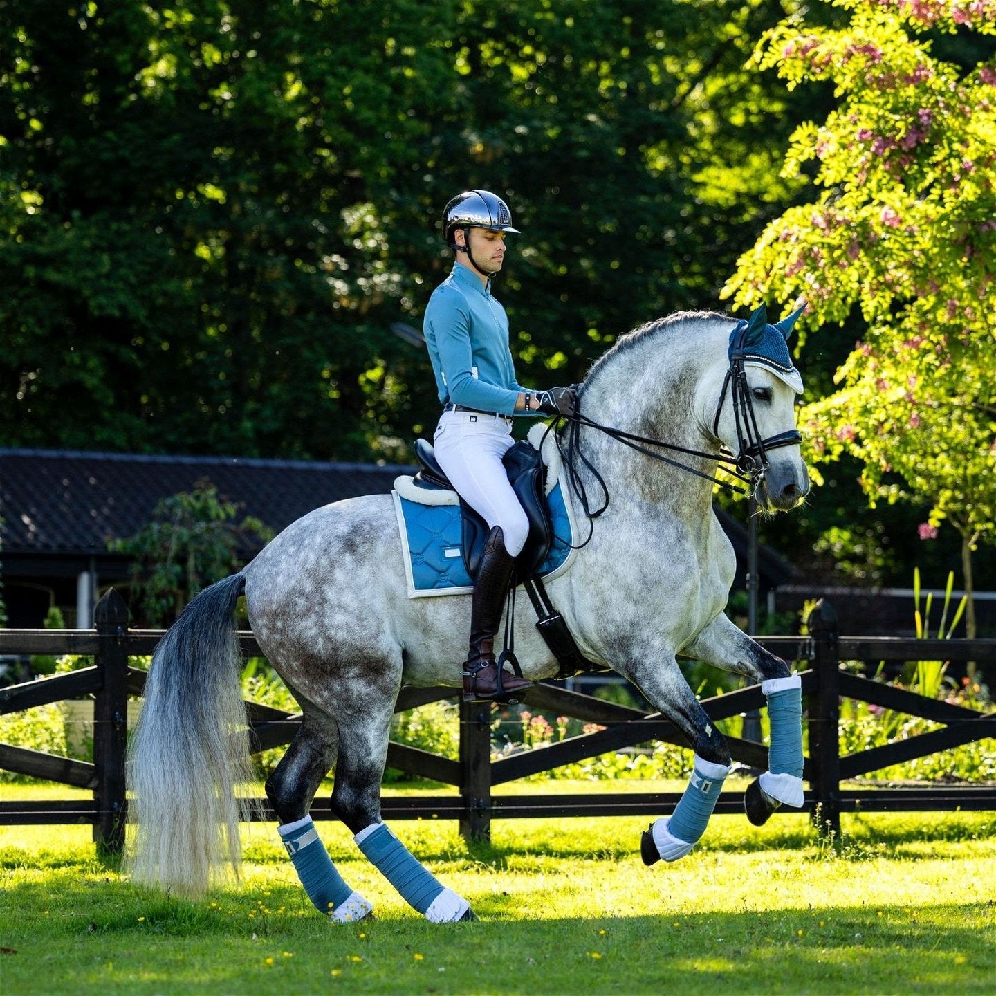 Equestrian Stockholm