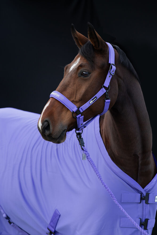 Eskadron Women Turtleneck Rib - Damen Langarmshirt Mit Stehkragen Dynamic 2025