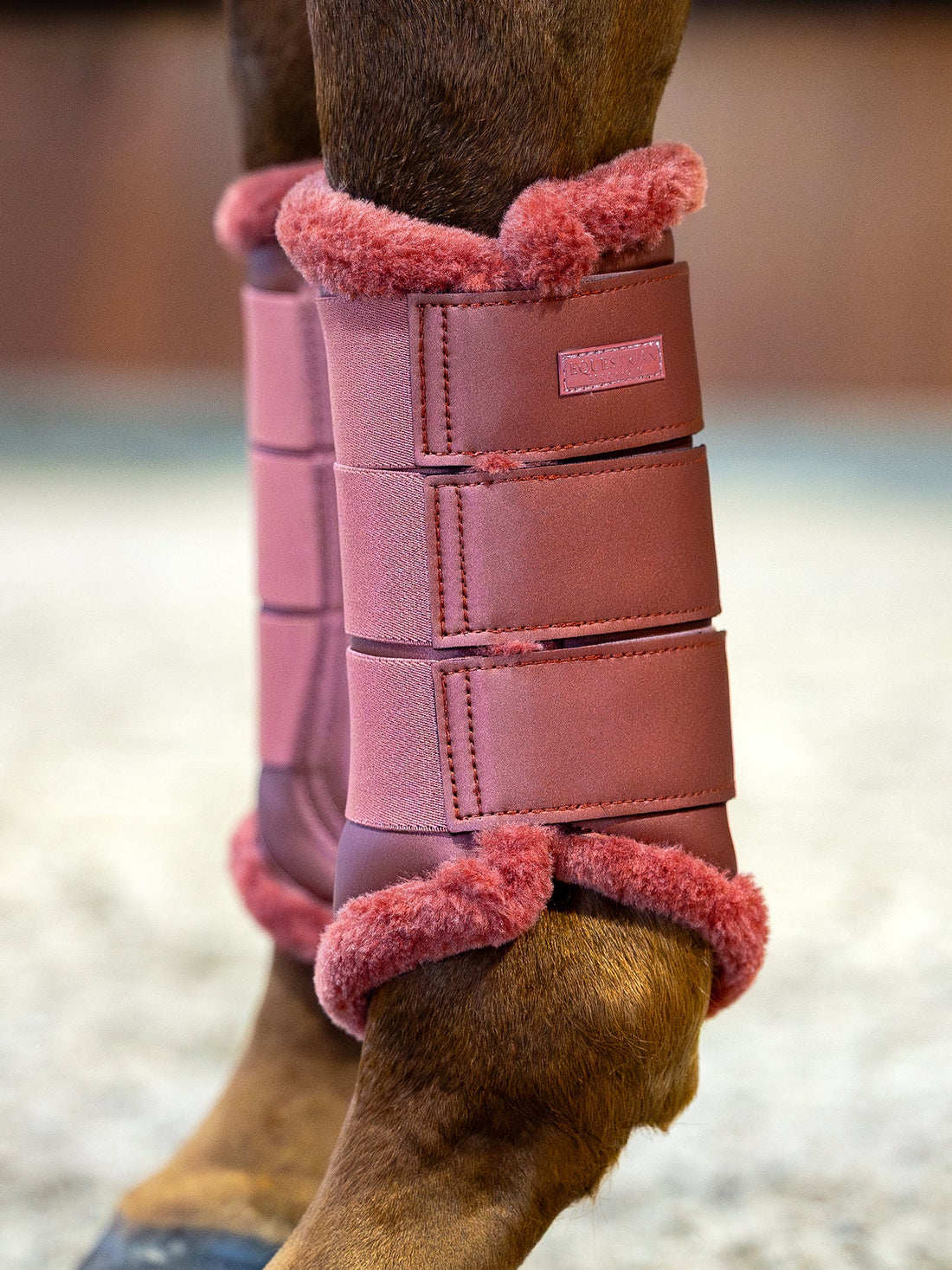 Guêtres de dressage Amber Rose - Equestrian Stockholm