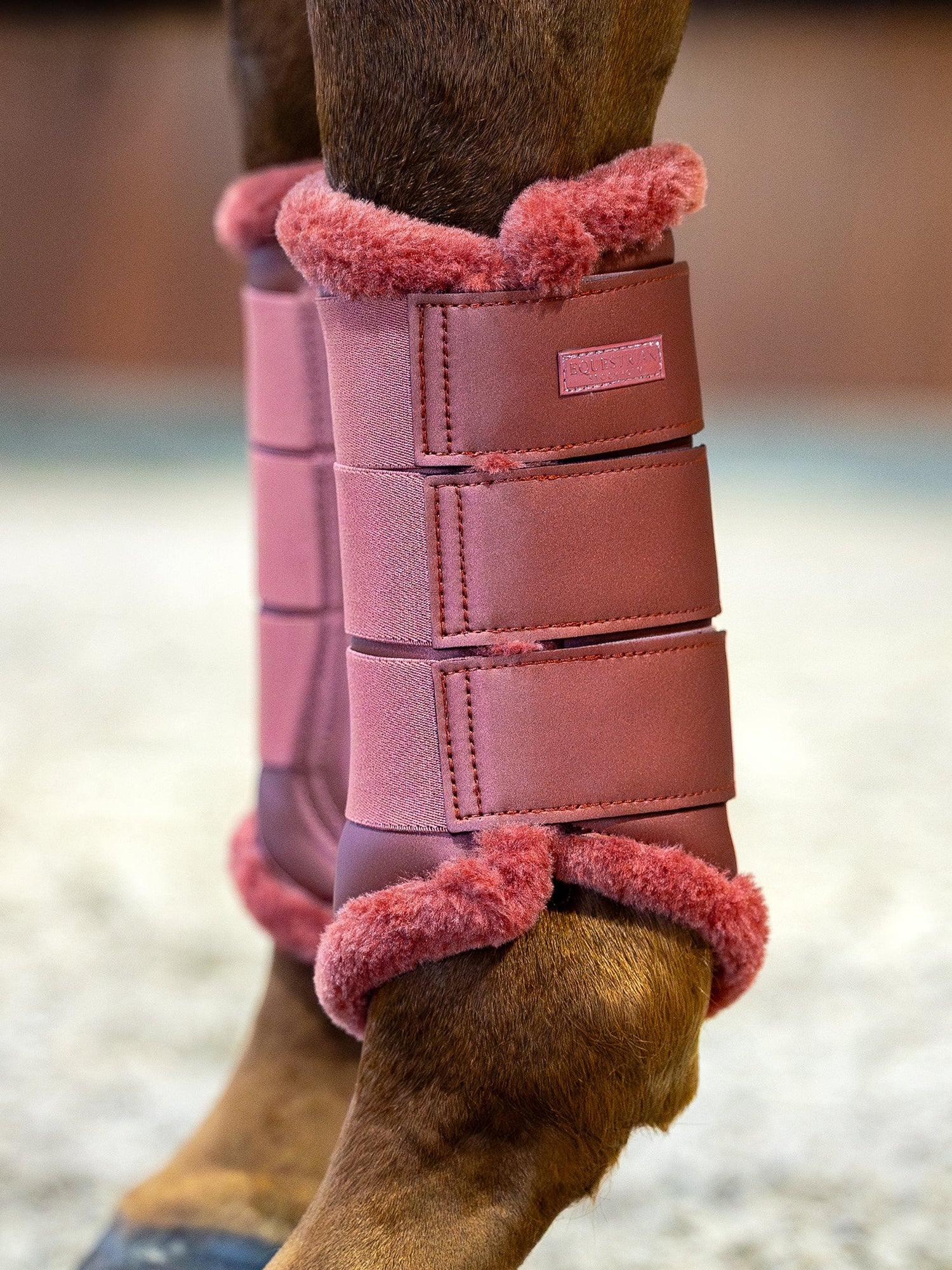 Guêtres de dressage Amber Rose - Equestrian Stockholm