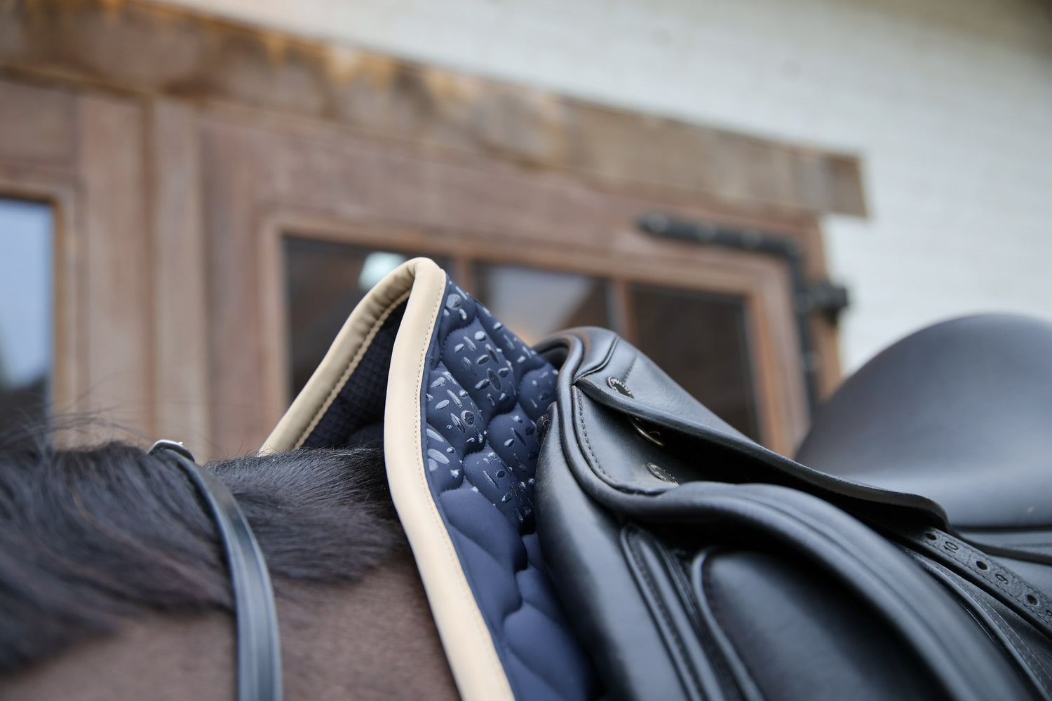Tapis Softshell Onion Quilt DRESSAGE - Kentucky