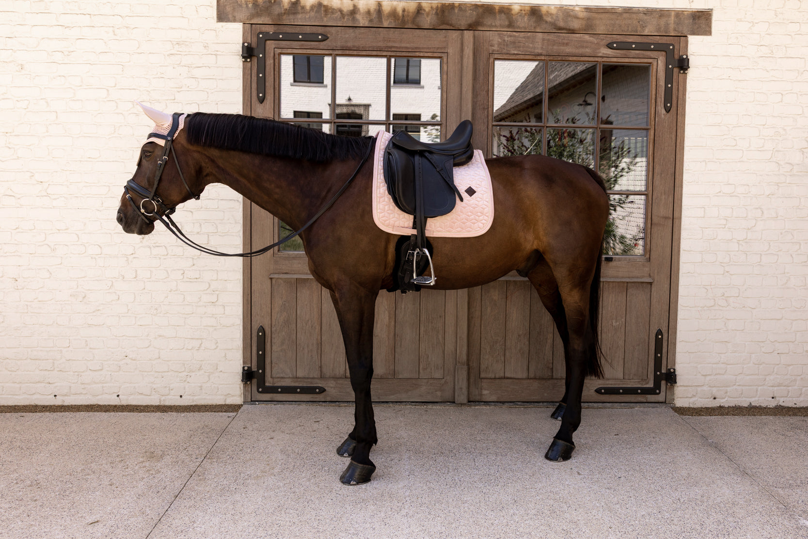Tapis de selle Velvet Rose pale DRESSAGE - Kentucky