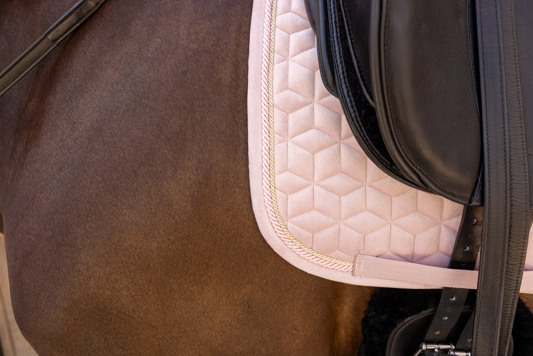 Tapis de selle Velvet Rose pale DRESSAGE - Kentucky