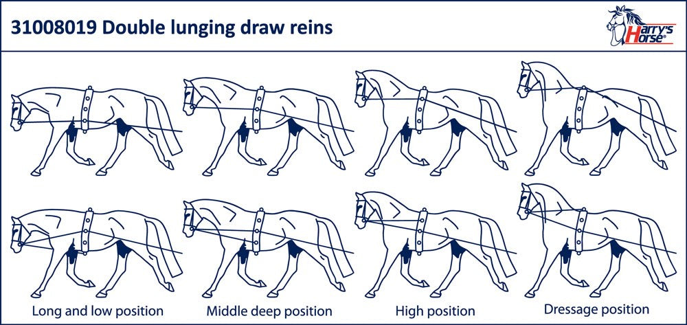 Longues Rênes - Harry’s Horse