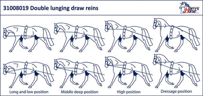 Longues Rênes - Harry’s Horse