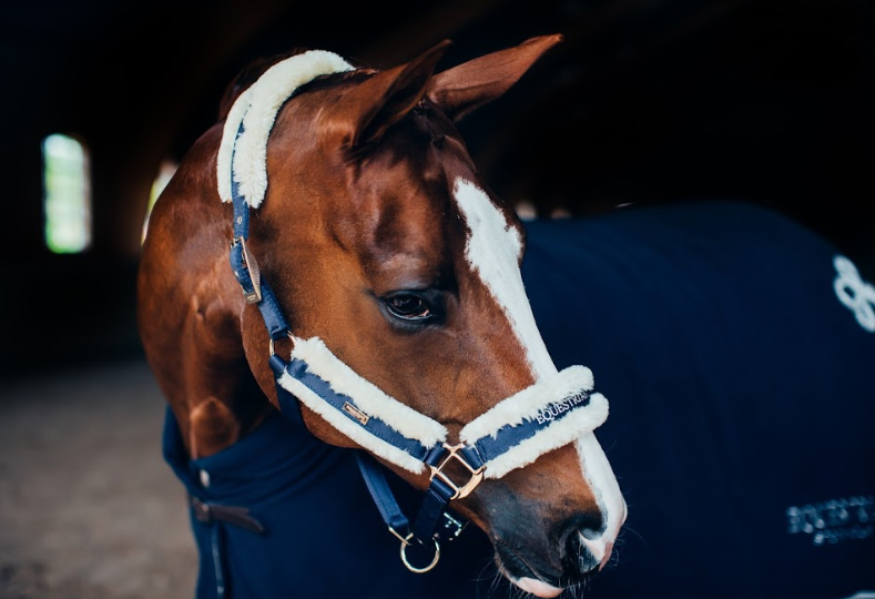 Couverture Polaire Col Mouton - Equestrian Stockholm
