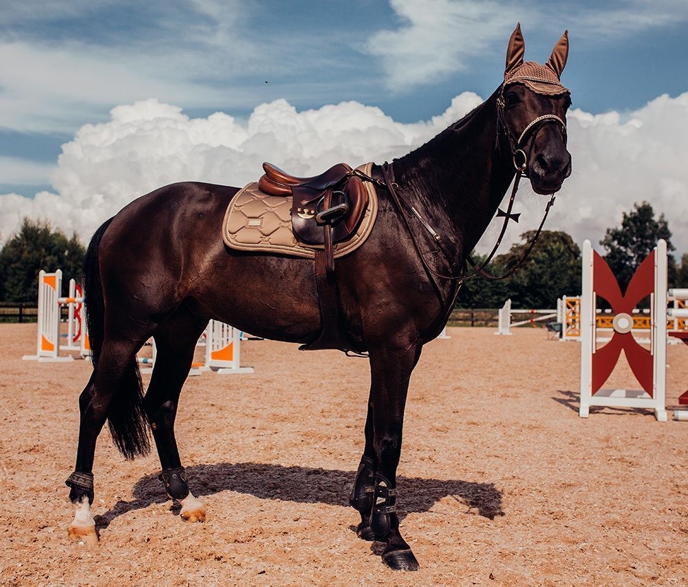Equestrian Stockholm fly cap - CHAMPAGNE