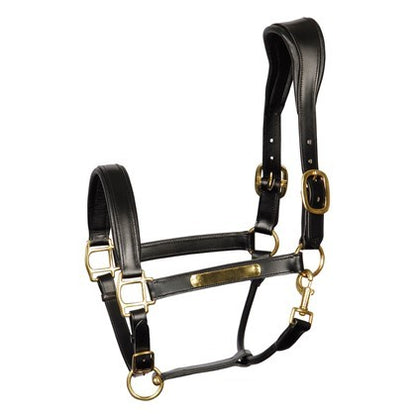 Anatomic leather halter - Harry&