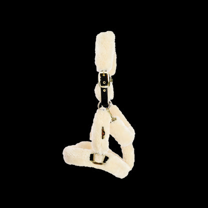 Sheep transport halter - Kentucky