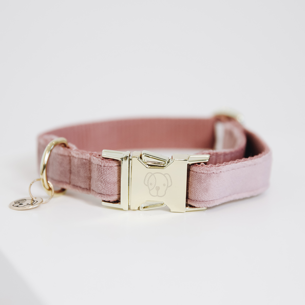 Velvet dog collar - Kentucky