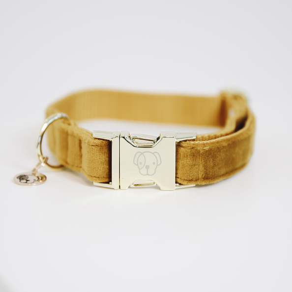 Velvet dog collar - Kentucky
