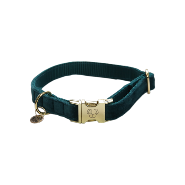 Velvet dog collar - Kentucky