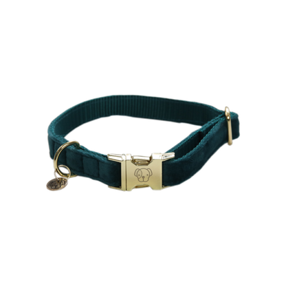 Velvet dog collar - Kentucky