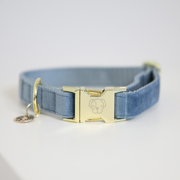 Velvet dog collar - Kentucky