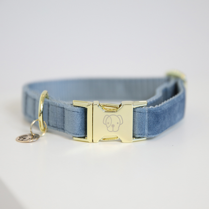 Velvet dog collar - Kentucky