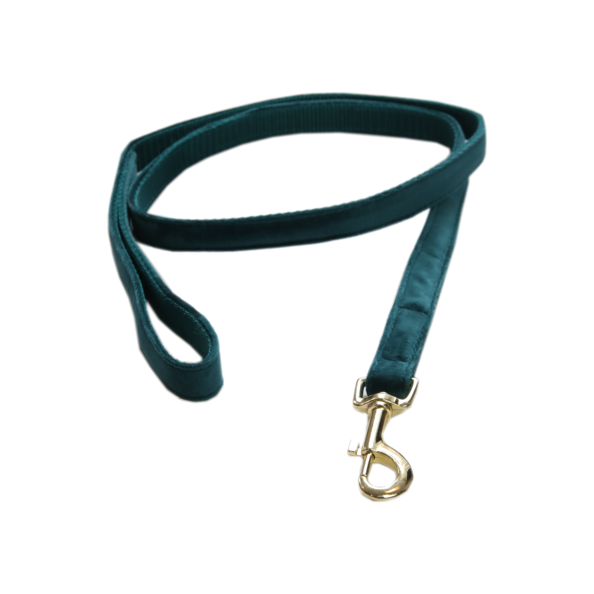 Laisse pour chien Velvet 120 cm - Kentucky