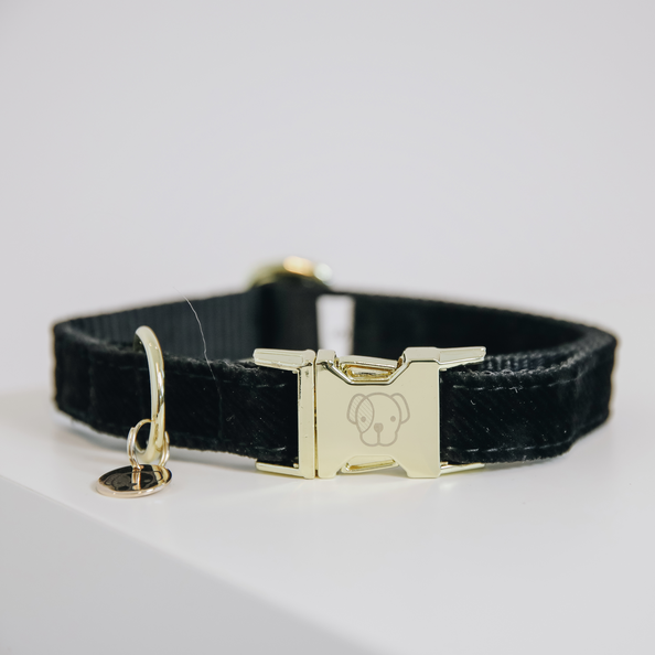 Corduroy dog ​​collar - Kentucky
