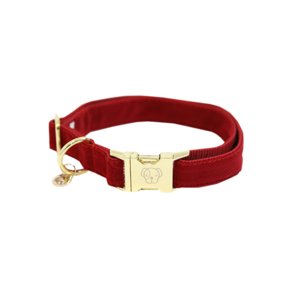 Corduroy dog ​​collar - Kentucky