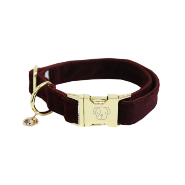 Corduroy dog ​​collar - Kentucky
