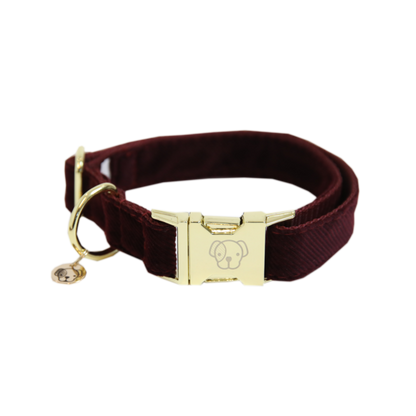 Corduroy dog ​​collar - Kentucky
