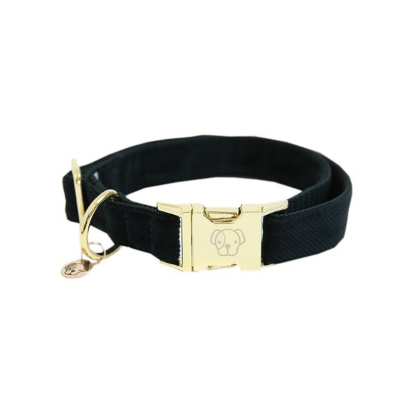 Corduroy dog ​​collar - Kentucky