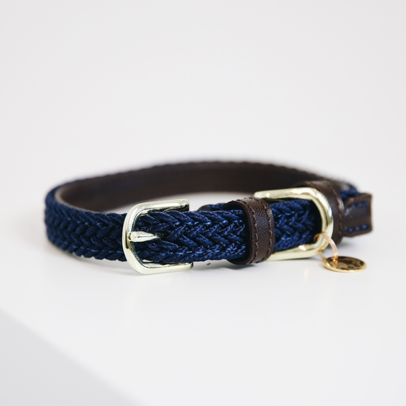 Collier pour chien en Nylon tressé - Kentucky