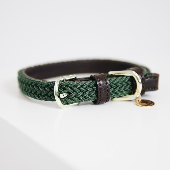 Collier pour chien en Nylon tressé - Kentucky