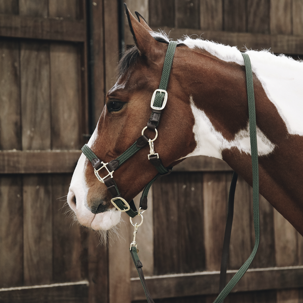 Licol en nylon à prix cassé - Kramer Paardensport Licol en nylon à prix cassé - Kramer Paardensport
