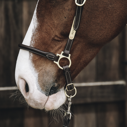 Leather grooming halter - Kentucky