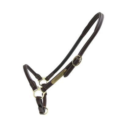 Leather grooming halter - Kentucky