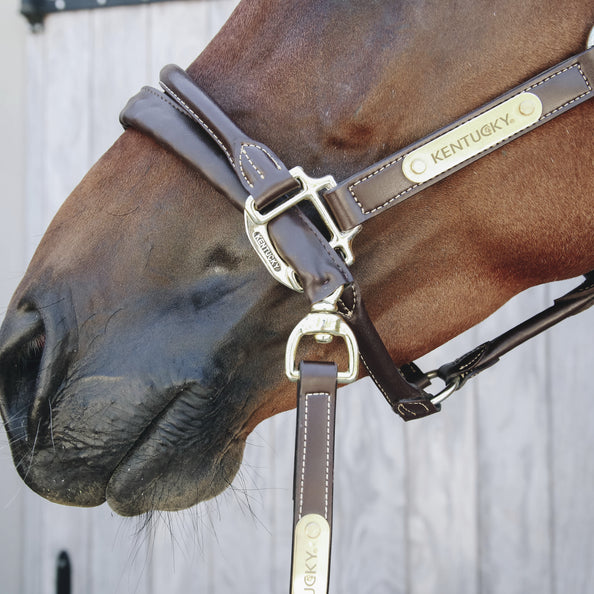 Leather covered presentation lead - Kentucky