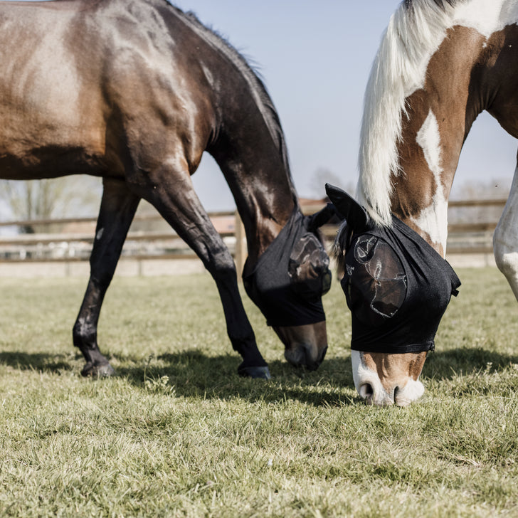 Slim Fit Fly Mask - Kentucky