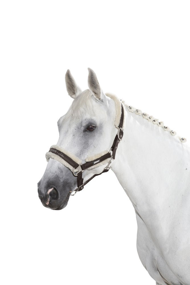 Basic halter lined with sheepskin - Eskadron