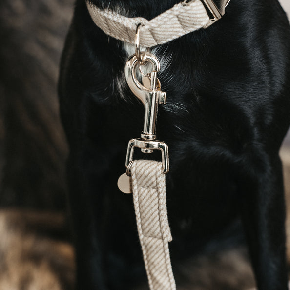 Wool dog leash - Kentucky