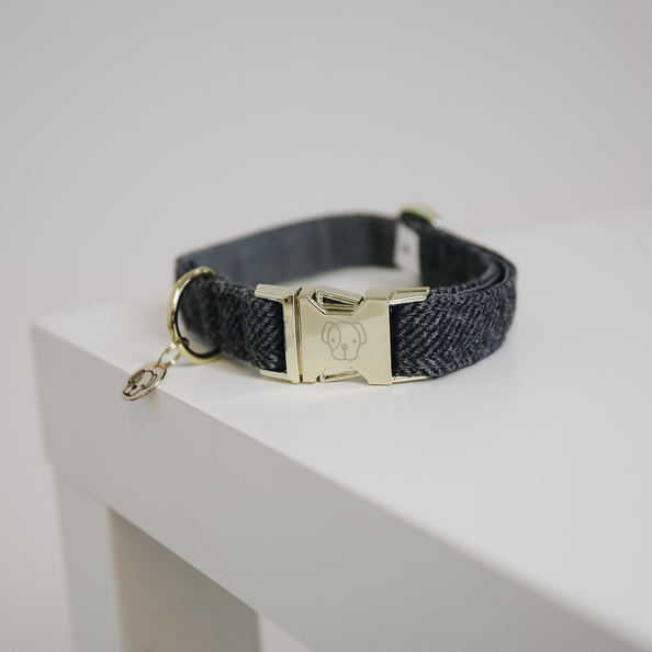 Collier pour chien Wool  - Kentucky
