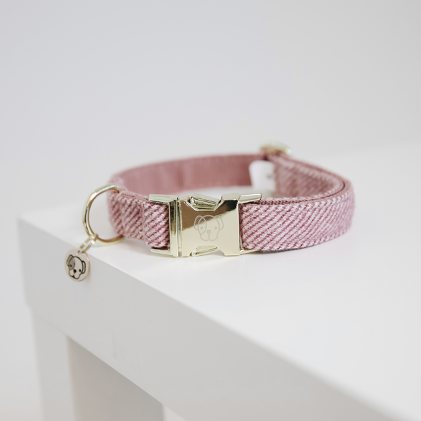 Collier pour chien Wool  - Kentucky