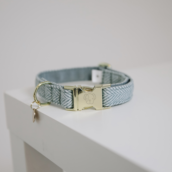 Collier pour chien Wool  - Kentucky
