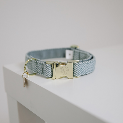Collier pour chien Wool  - Kentucky
