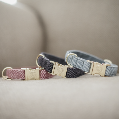 Collier pour chien Wool  - Kentucky
