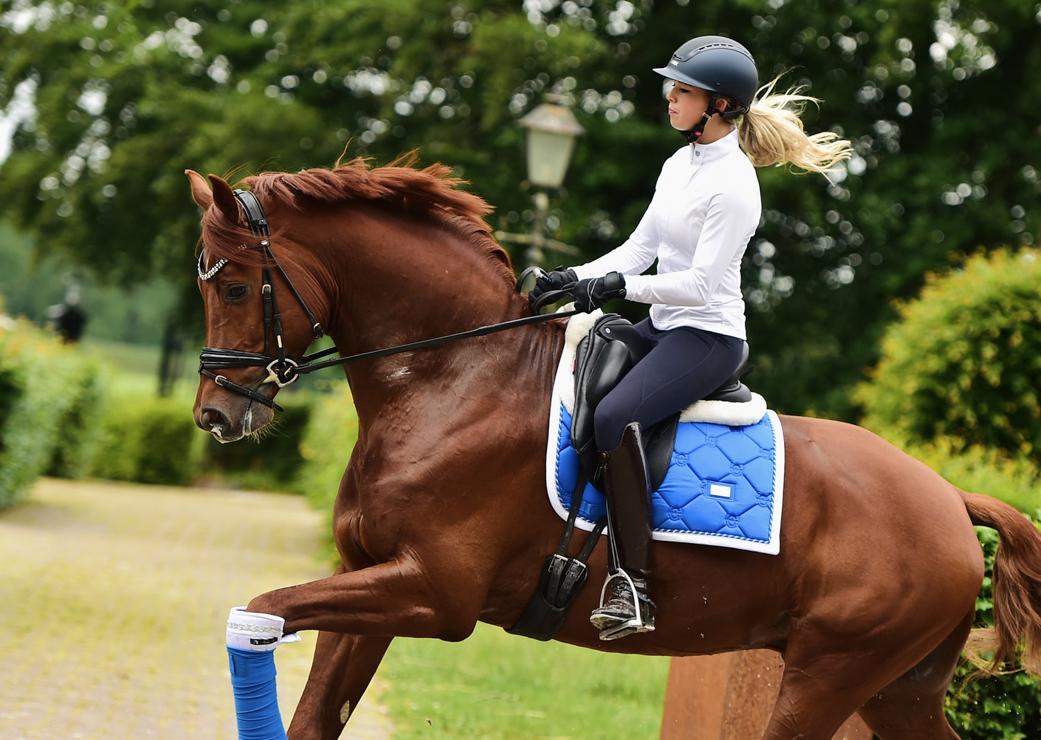 Tapis de selle Sapphire - Equestrian Stockholm