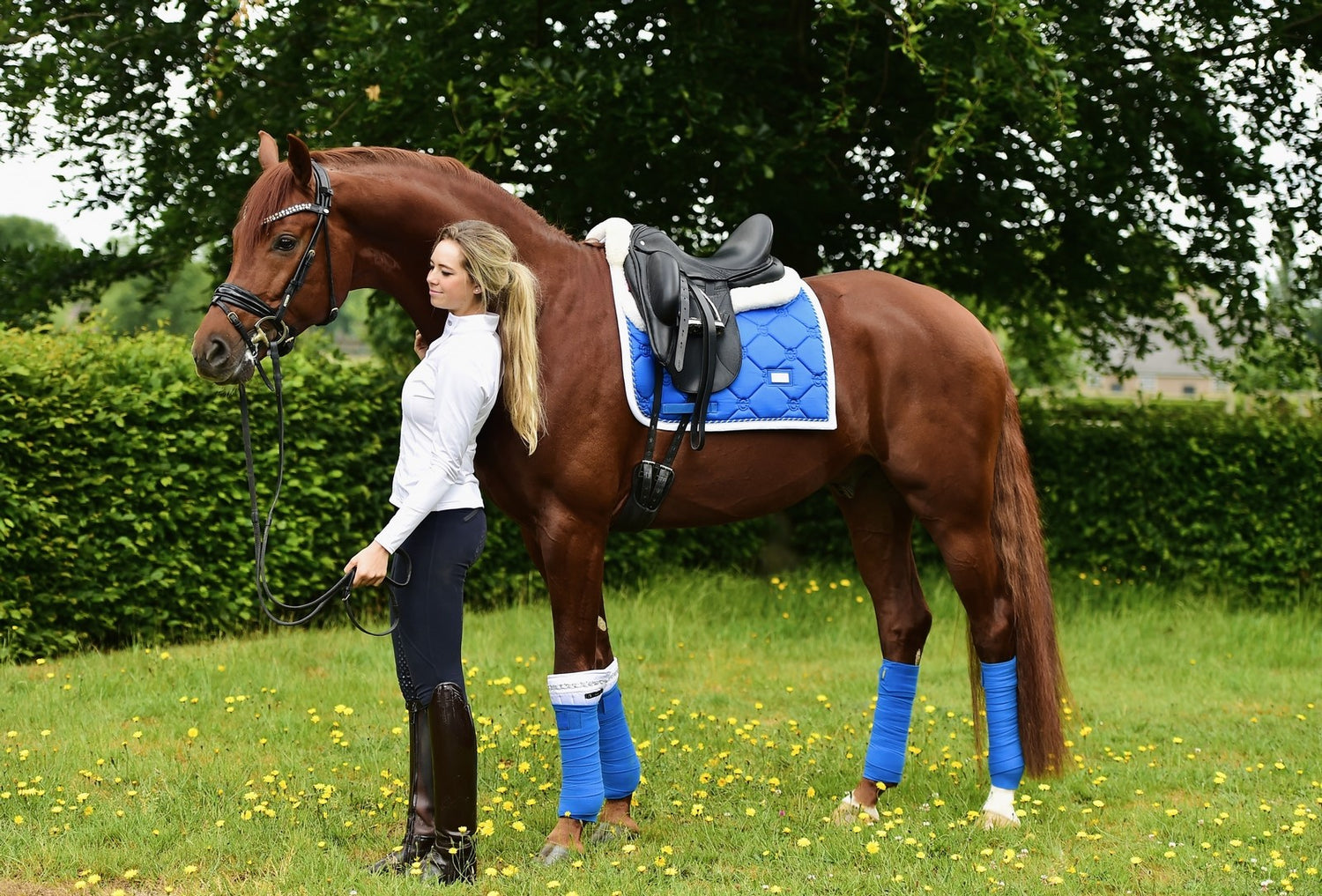 Tapis de selle Sapphire - Equestrian Stockholm