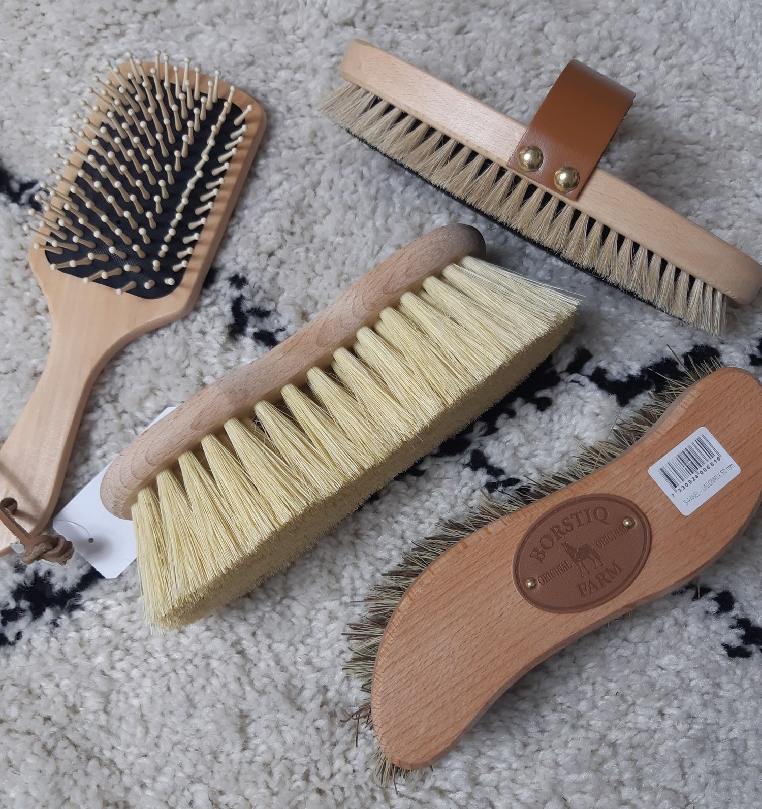 Lot de 4 brosses - BORSTIQ FARM