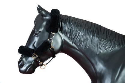 Licol et longe Mattes Deluxe Edition hiver 2020 - Noir