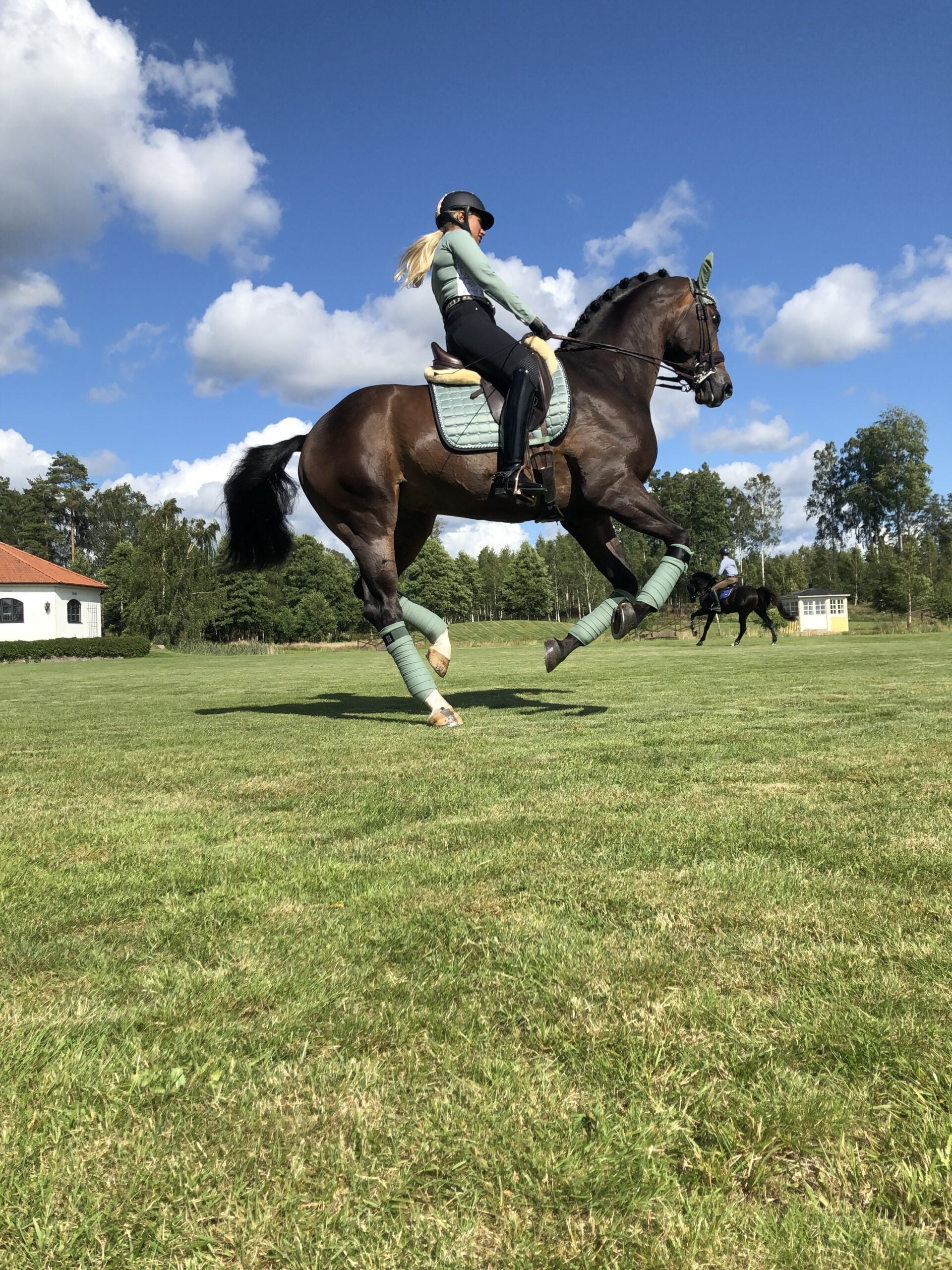 Bandes polaire Peppermint - Equito