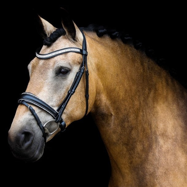 Noseband TINY CRYSTAL ROCKS Black - SD Design