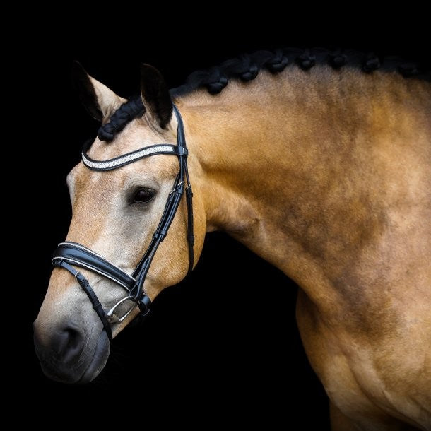 Noseband TINY CRYSTAL ROCKS Black - SD Design