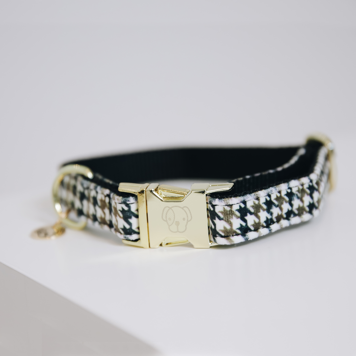 Collier pour chien Pied de Poule  - Kentucky