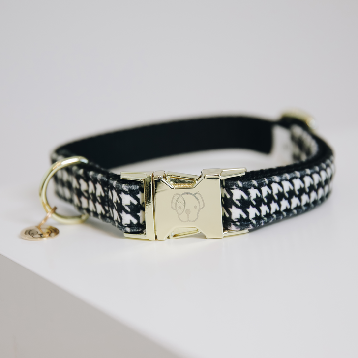 Collier pour chien Pied de Poule  - Kentucky