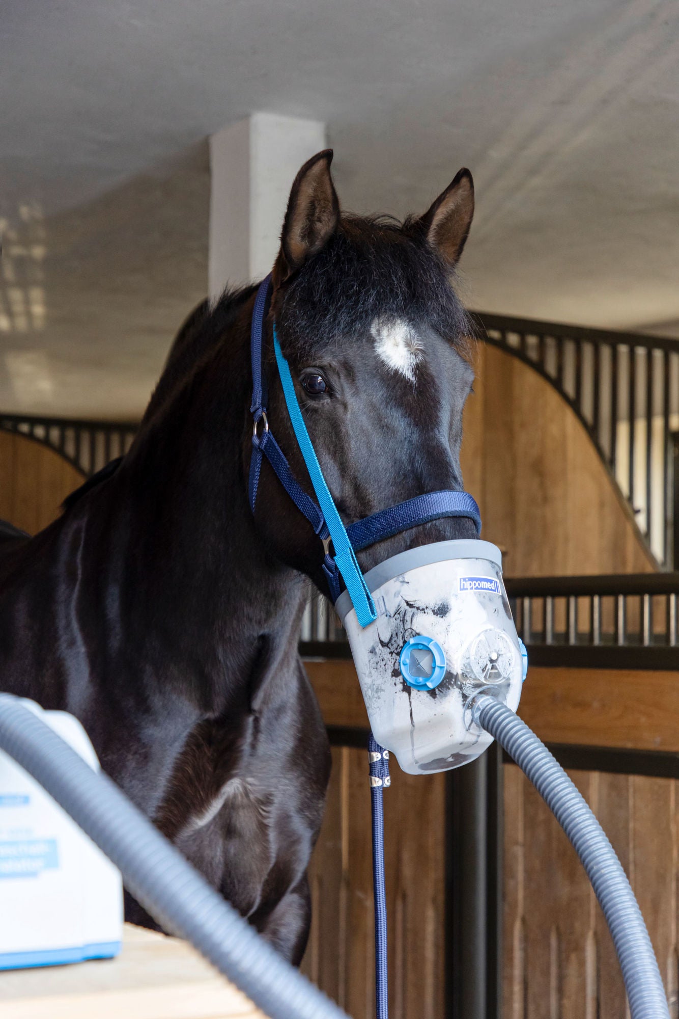 Nebulisateur à ultrasons pour chevaux AirOne - Hippomed