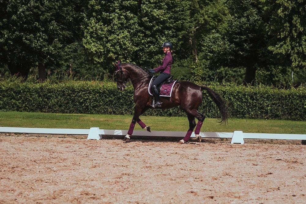 Purple White Edge saddle pad - Equestrian Stockholm